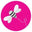 sugarbeebling.com logo