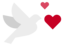 suiyongsuiqi.com icon