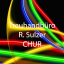 sulzer-treuhand.ch icon