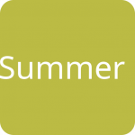 summerstreetcreative.com icon