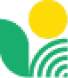 sungivenfoods.ca icon