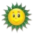 sunraja.com icon