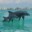 sunshinedestin.com icon