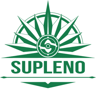 supleno.com icon