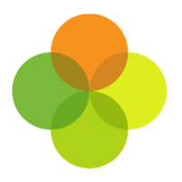 Domain Favicon