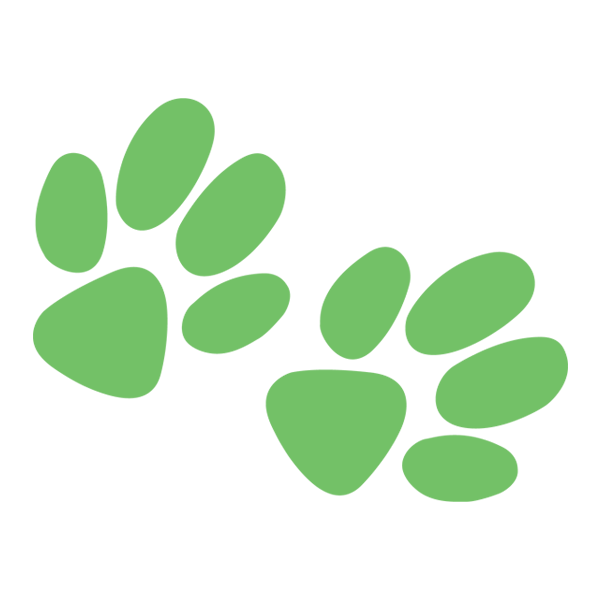 supportrspcaqld.org.au icon