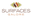 surfacesgalore.com logo