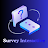 surveyinteractive.cv icon