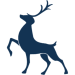sussexcampervans.com icon