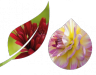 sustainablesuppliers.nl icon