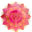 suzannealexandria.com icon
