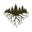 suzannesimard.com icon
