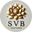 svbventures.in icon