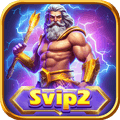 svip2w.com icon