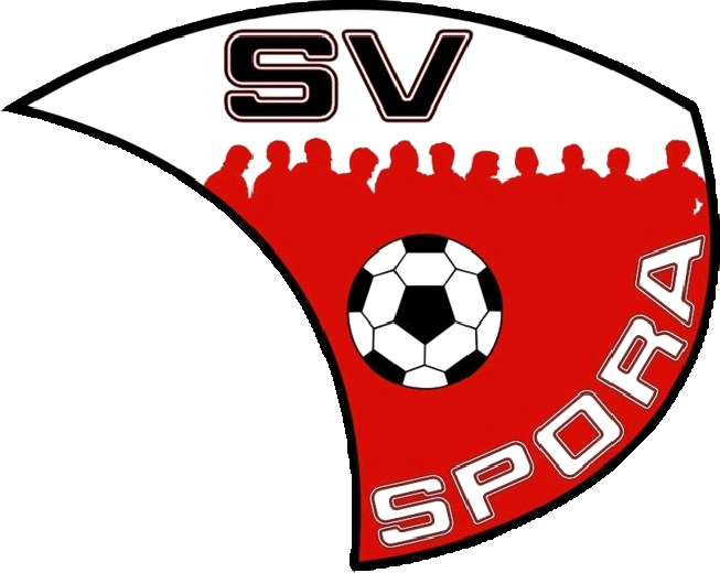 svspora.de icon