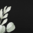 swartzfuneralhomeinc.com icon