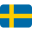 swedishporn.top icon