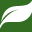 swflnaturalawakenings.com icon