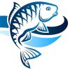 swflwebmaster.com icon