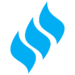 swfs.org icon