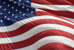 swingers-in-usa.com icon