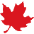 swingersontario.com icon