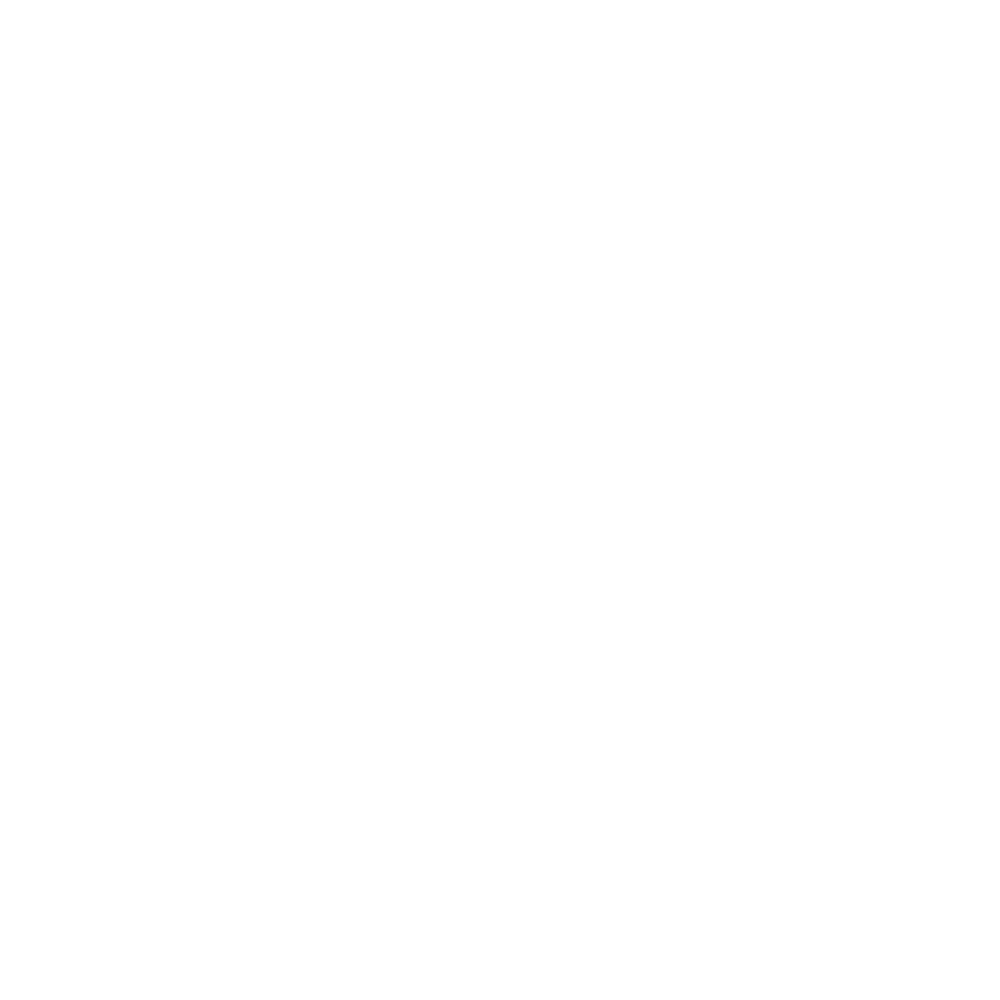swissmusicawards.ch icon
