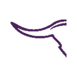 sydneypoolsnight.com icon