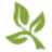 synergycoop.com icon