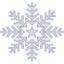 szron.eu icon