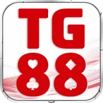 sztg88.com icon