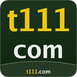 t111com.com icon