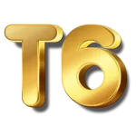 t6bet.store icon
