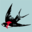 tabisuruwagashi.com icon