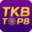 tablebig.com icon