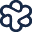 tacchini.com.br icon