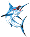 tackyjacks.com icon