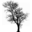 tage.com icon