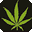 taimado.com icon