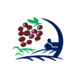 talencieux.fr icon