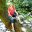 talesforlife.blog icon
