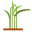 tallgrassbeef.com logo