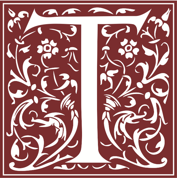 tallischoir.com icon