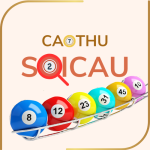 tanbinhsoicau.com icon
