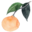 tangerinezest.com icon
