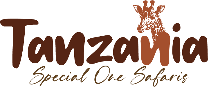 tanzaniaspecialone.com icon