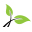 taostar.com icon