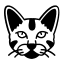 Taostudio favicon