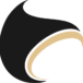 tapeso.de logo