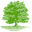 taplowgroup.com icon
